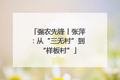 强农先锋丨张萍：从“三无村”到“样板村”